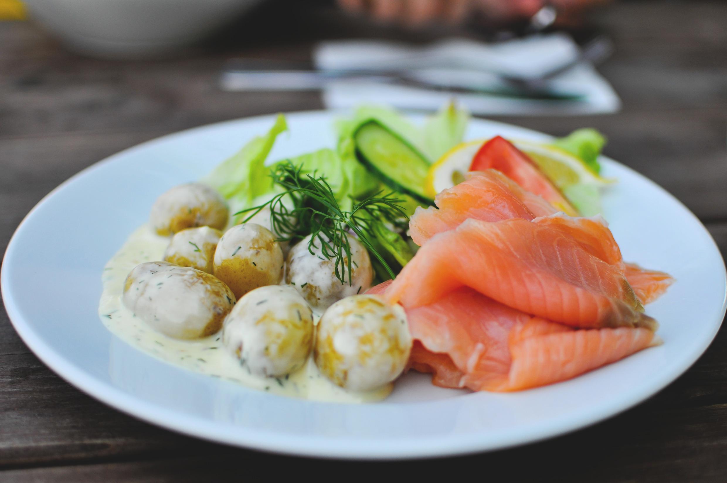 سمك السلمون