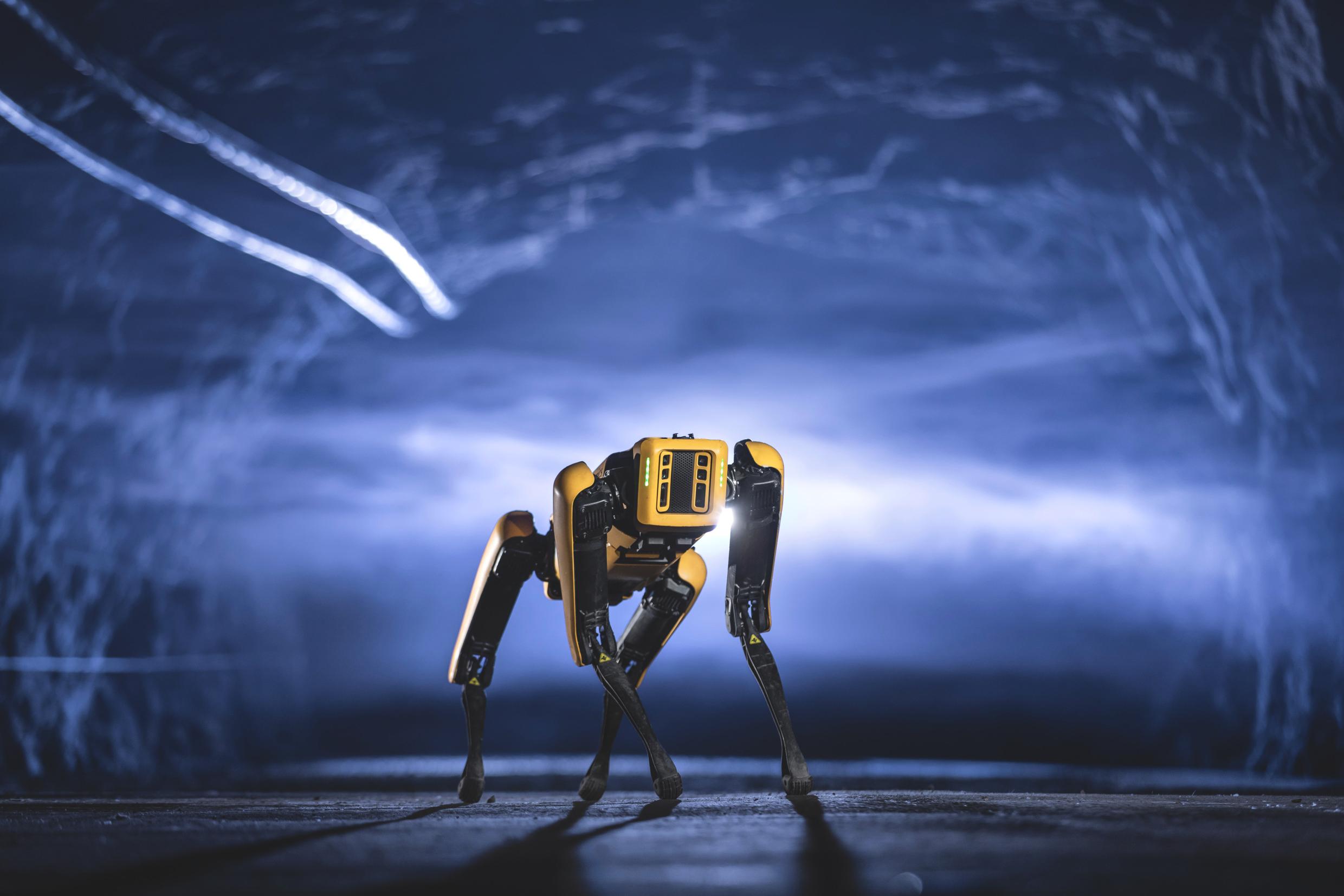 Robotic mining dog كلب روبوتي داخل منجم.